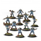 Blood Bowl: Reikland Reavers